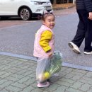 태백시농업기술센터 | 남양주시 농업기술센터 그린학습원, 아이와 무 수확 텃밭체험 다녀왔어요