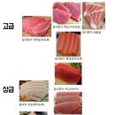 참치싸다구 이미지