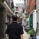 하프아울렛 | 시스템옴므 카라티 아울렛 칼라하프슬리브티셔츠 시즌오프 구매후기
