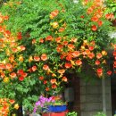 영도 바닷가 이야기 이미지