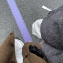 1339 | 도망가버린 가을