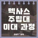 미국 텍사스 주립대 아트 &amp; 디자인 미대유학 입학 후 진학 진로
