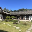채향 | 파주 공간채향 🌿 애견 동반 가능한 한옥카페 방문기!