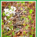 의암순례길(봄내길 2-1코스) | 강원도 봉화산 구곡폭포, 봄내길(동발 산악회), 봄비