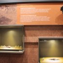 기지시줄다리기박물관 이미지