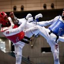 새서울태권도 이미지