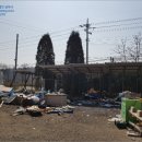 전의생활체육공원2 이미지