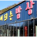 약이 되는 밥상 이야기 이미지