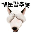 뉴착한고기 이미지