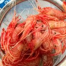 새우일 산소 | 봄 제철음식 추천 활 독도 꽃새우 산소포장 택배 배송 후기 : 진짜 살아있을까?