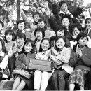 나무와 새 이미지