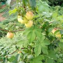 태안스테이션 이미지