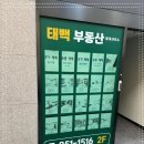 태백부동산중개사무소 이미지