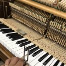 이화초교 이미지