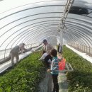 소영농장 이미지