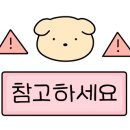 더인(The In) 이미지