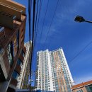 금하공인중개사사무소 이미지