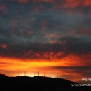 아름다운 그님 이미지