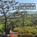 용인 고기리 안다미로 | 산뷰 + 한적한 카페 솔직후기