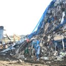 모두 뼈다귀 감자탕 이미지