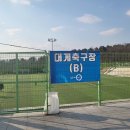 강구대게축구장 이미지