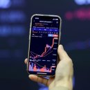 너도나도 이미지