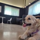 멍스 컨테이너 이미지