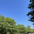 충장공원(테니스장) 이미지