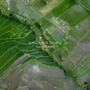 진흥 공인중개사사무소 이미지