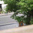 피자보틀 이미지