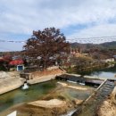 사직리축구장 네이버블로그