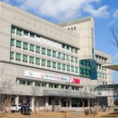 홍천읍 석화로 강원 티스토리