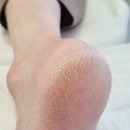 레푸스 봉담점
