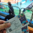 통영체육관 | 공지] 2024 통영 도드람컵 프로배구대회 대전 정관장 레드스파크스 vs 아란마레(일본) 통영체육관 직관후기