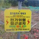 선일전기