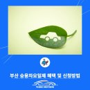 윤모터스 이미지