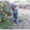 창규농장 이미지