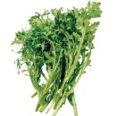 뿌리요양병원 이미지