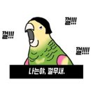 행복한느림보 이미지