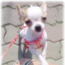 산이랑 바다 이미지