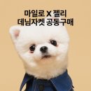 그레잇도그 이미지