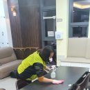 두꺼비방역