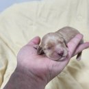 오픈주 하남스타필드점 이미지