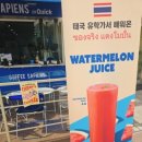 주정차107 | 평택 소사벌 커피맛집 , 1리터보틀 커피사피엔스 평택 배다리점 방문후기!