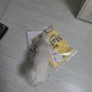 G텍 소프트 | [패션] 와이케이 '말티즈아카이브 라인그래픽 반팔티셔츠 화이트' 1사이즈