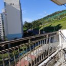 대우유토피아 이미지