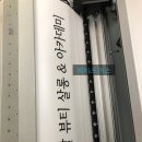 살롱드 댕댕 이미지