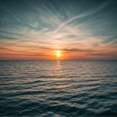 행정사 김은수 이미지