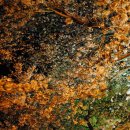 은파관광지 이미지