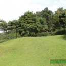 이중인 묘 이미지